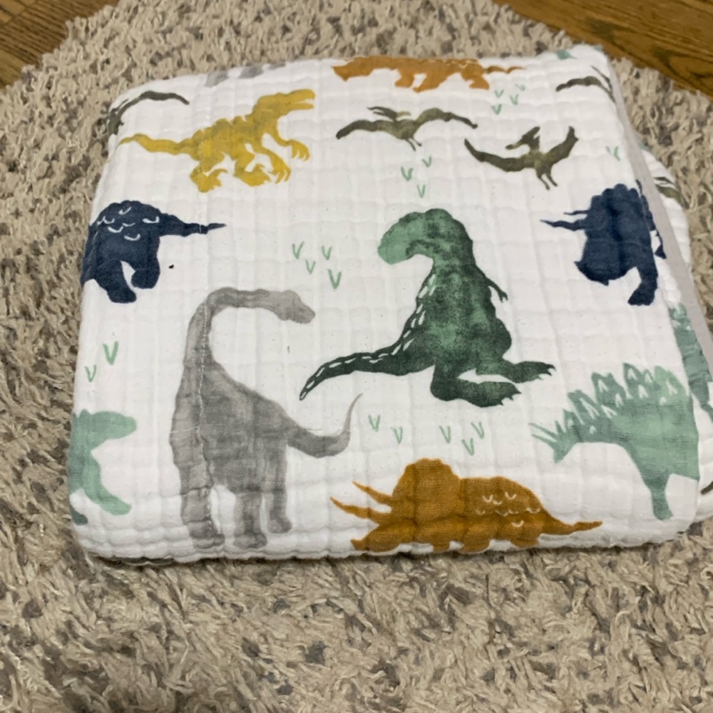 Dinosaur baby blanket